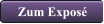 Zum Expos