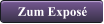 Zum Expos