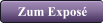 Zum Expos