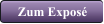 Zum Expos